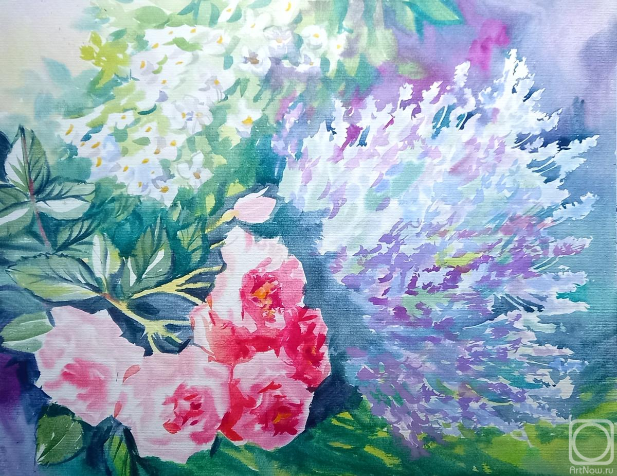 �������. ���������� ���������. ������� � ����