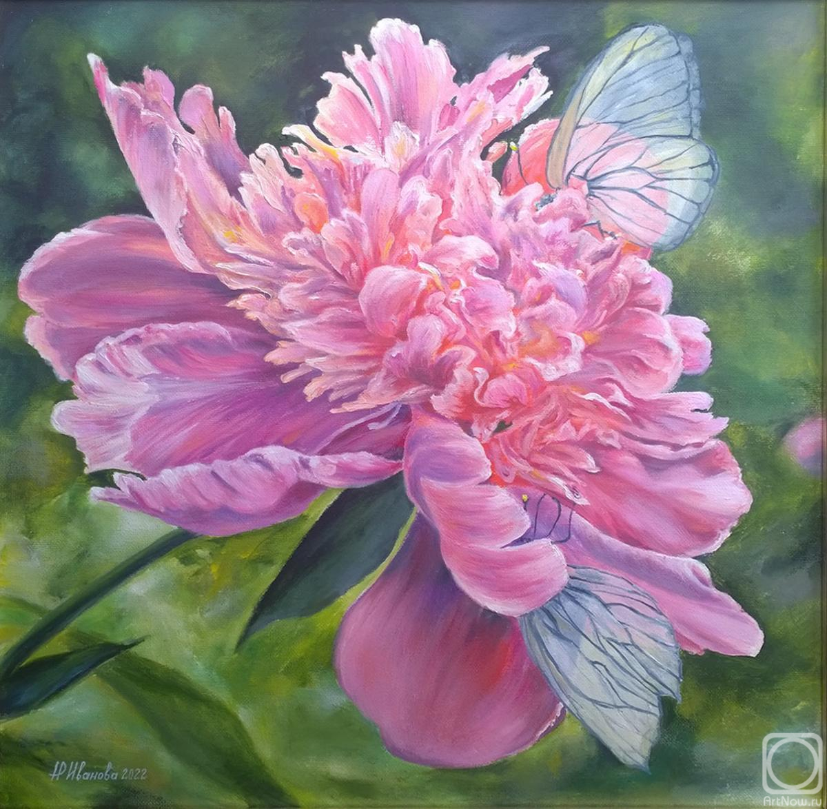 ������� ������ �� ������. ������� �������. ���� � ����� �������