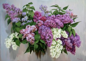 Lilac bush