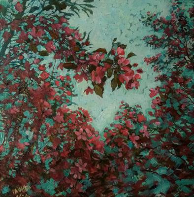 Painting Chinese apple tree in bloom. Dobrovolskaya Gayane