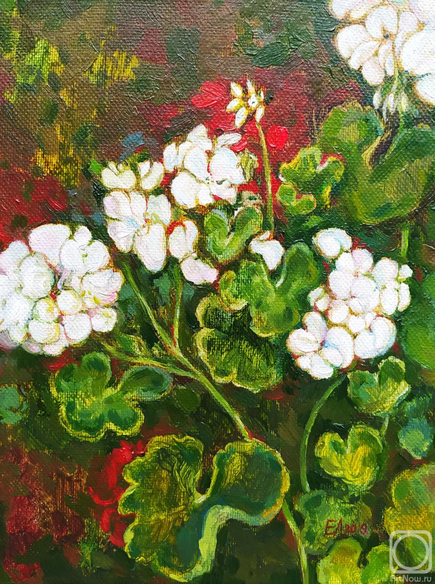 ������� ������ �� ������. ���������� �����. ����� ����������