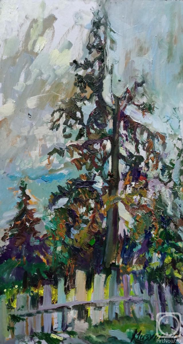 �������. �������� �����. ���