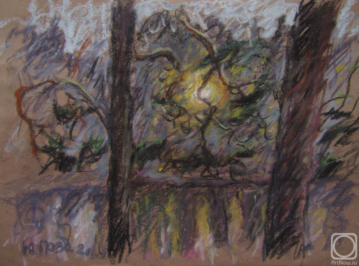 �������. ���������� ����. �������� ������