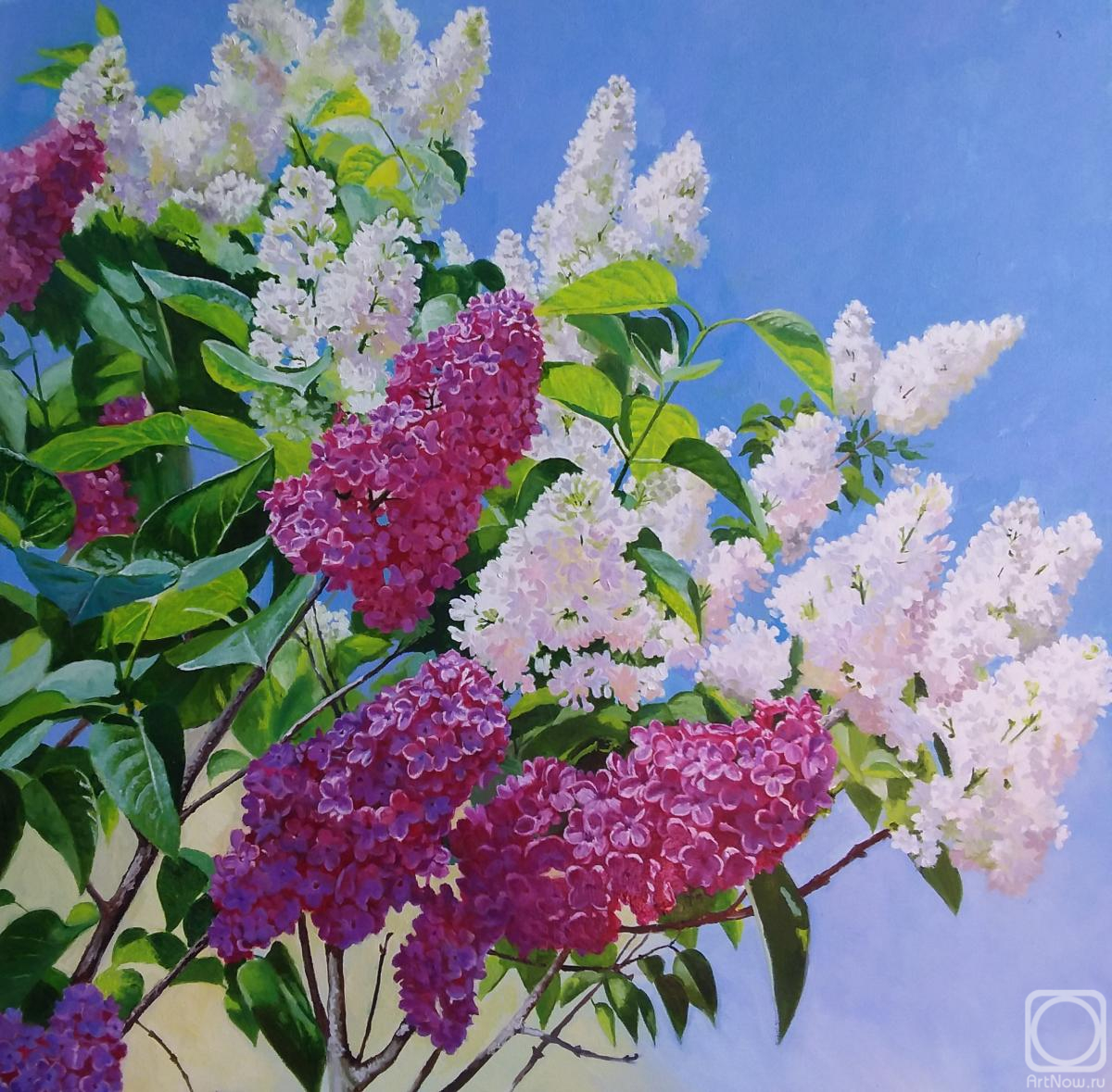 ������� ������ �� ������. ��������� ��������. ����� ������