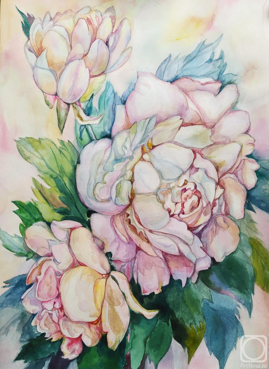 �������. ���������� �����. �����