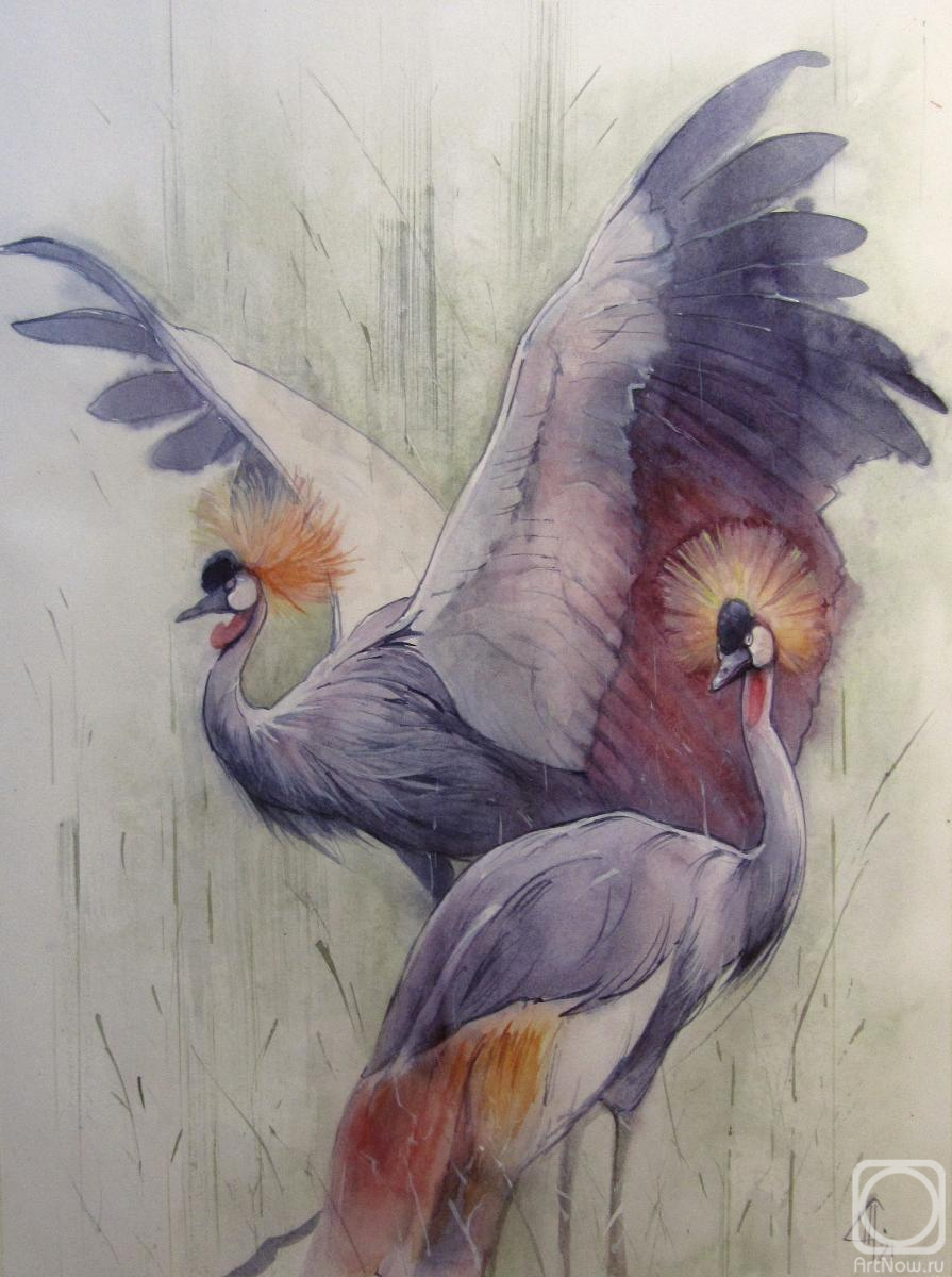 �������. ������ ��������. ����������� �������