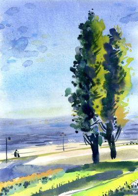 Poplars on the embankment. Stolyarova Olga