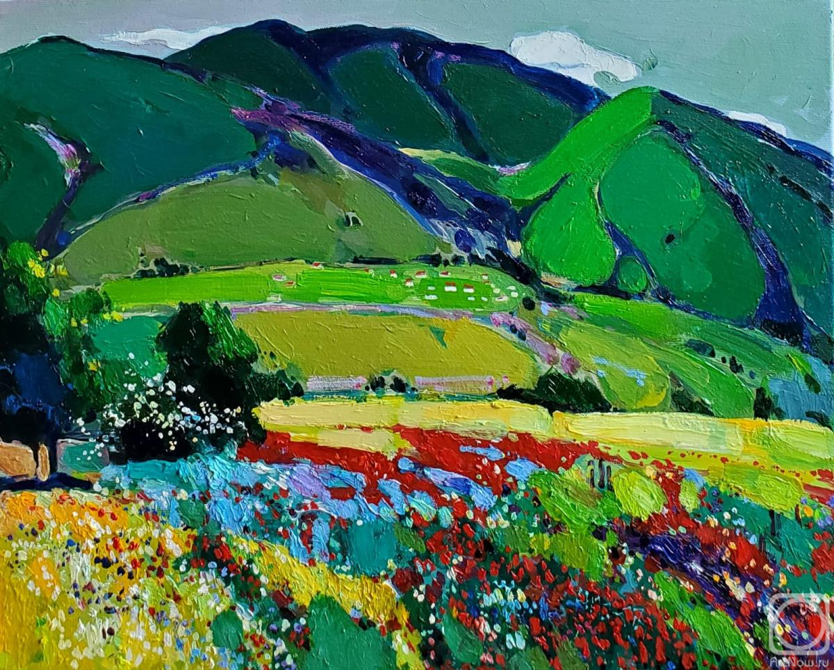 Chatinyan Mger. Flower Meadow in the Mountains