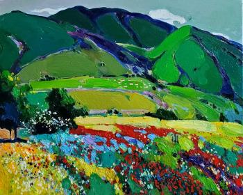 Flower Meadow in the Mountains