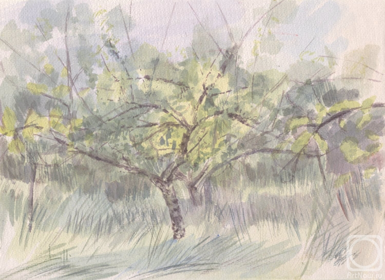 �������. ������� ����. ������