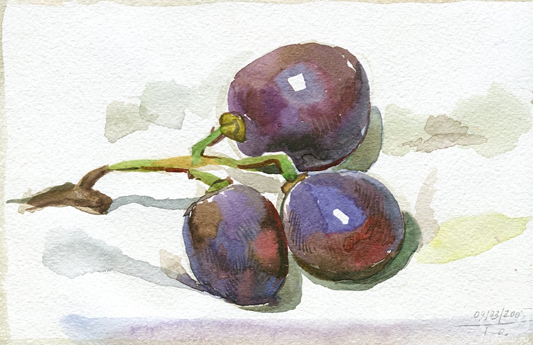 Yudaev-Racei Yuri. Three berries of vine