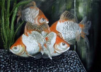 Dance of goldfishes