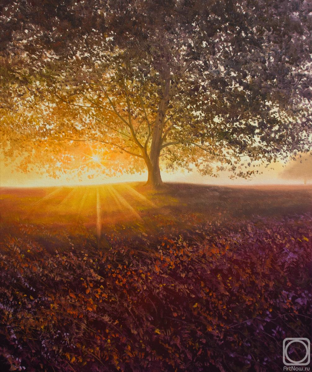 ������� ������ �� ������. ��� ��������. ������� ����