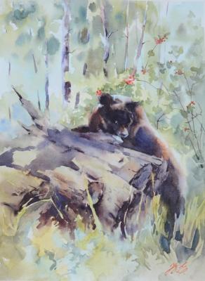 Brown bear in the forest. Evsyukova Yuliya