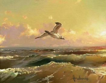 Seagull, sea and me. Vukovic Dusan
