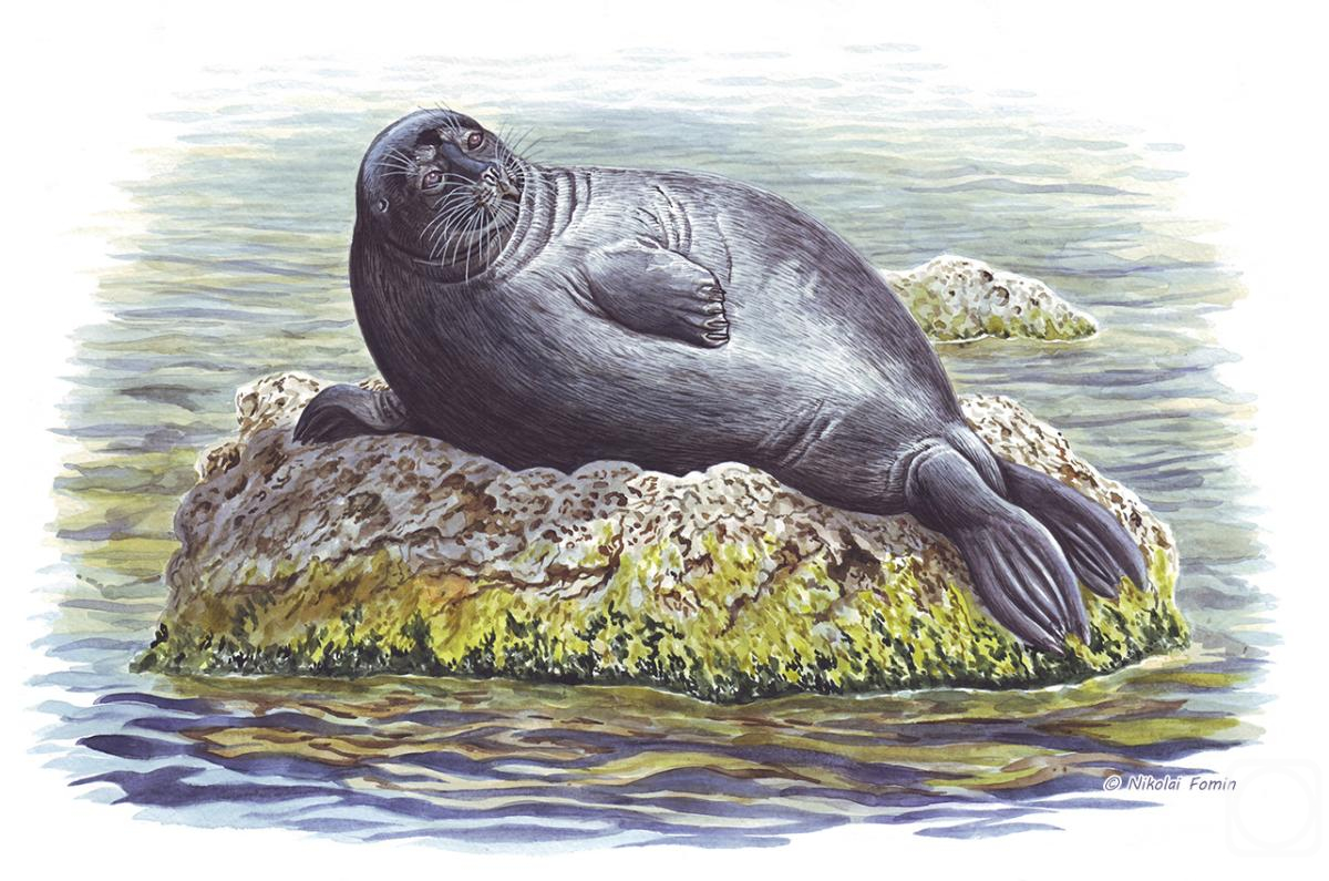 �������. ����� �������. ����������� �����