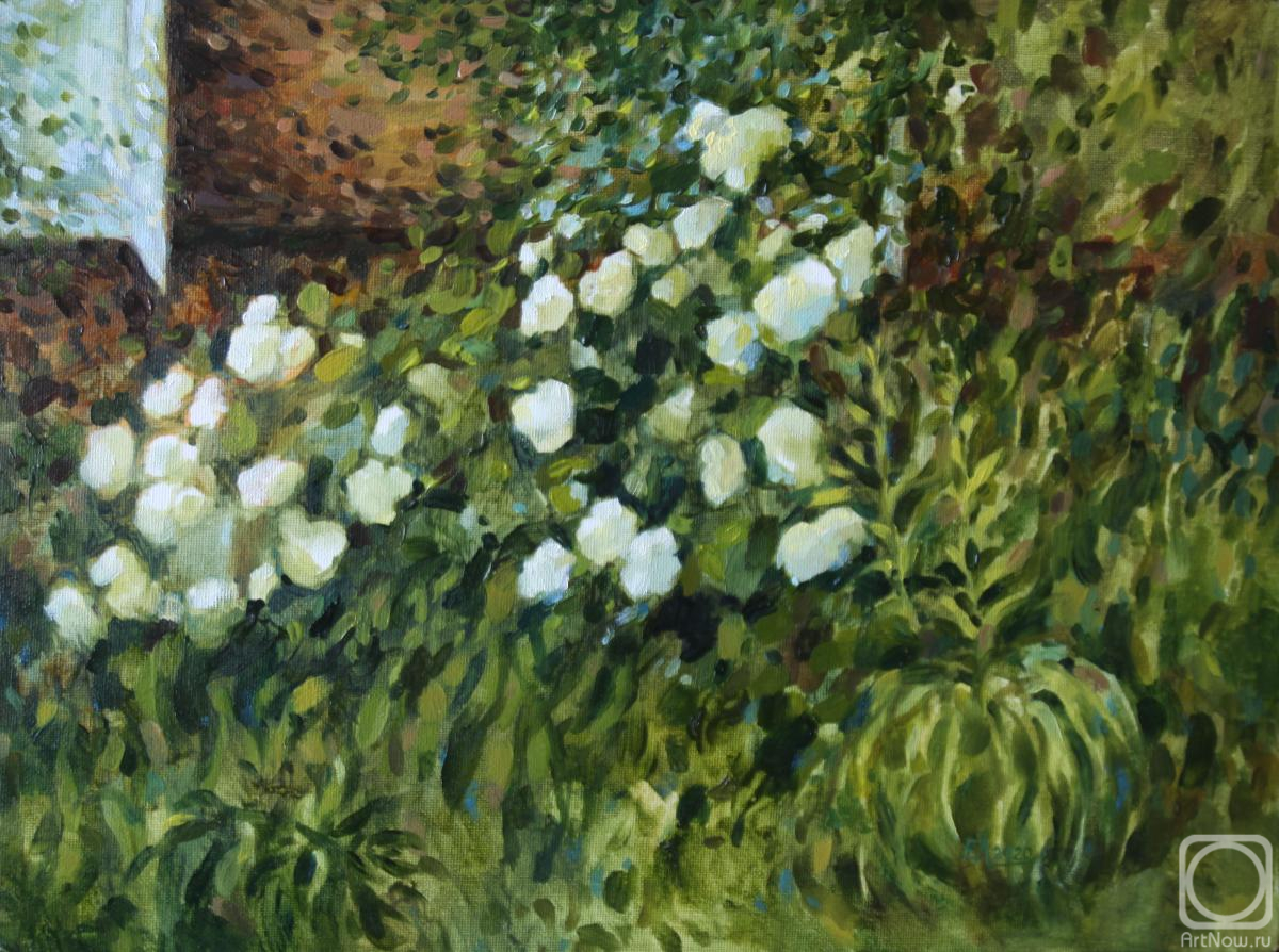 ������� ������ �� ������. ���������� �����. ��������� � �����