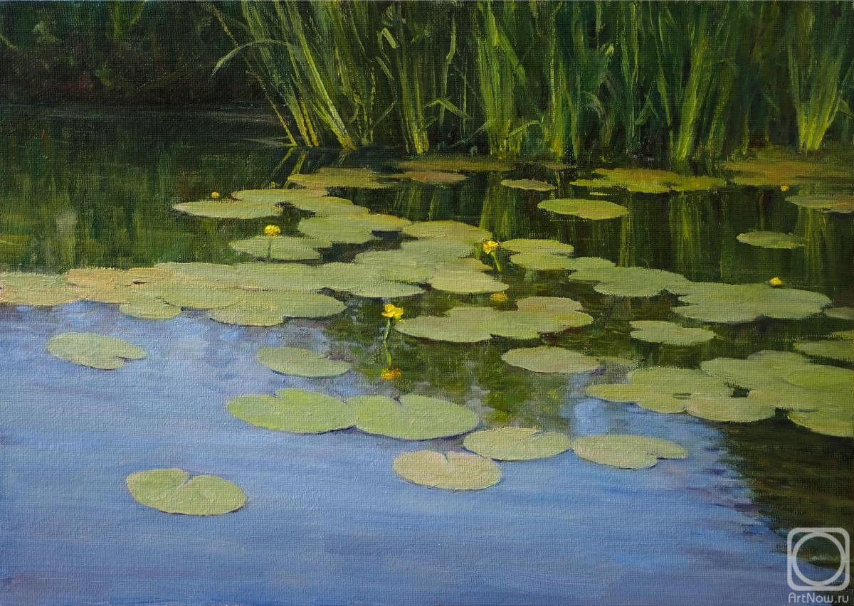 ������� ������ �� ������. ������� �����. �������