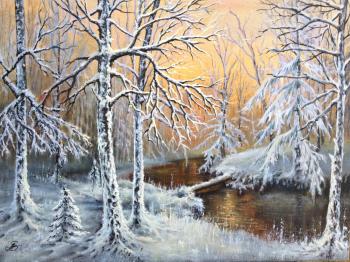 The magic of a winter morning. Smetankin Anatoliy