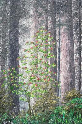 Awakening (Pine Tree Art). Smirnov Sergey