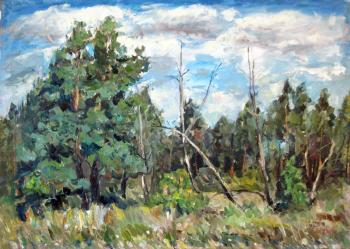 At the edge of the forest. Zlobin Pavel