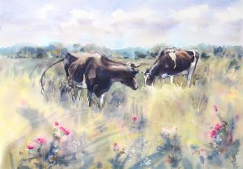 Two black and white cows in the meadow ( ). Evsyukova Yuliya