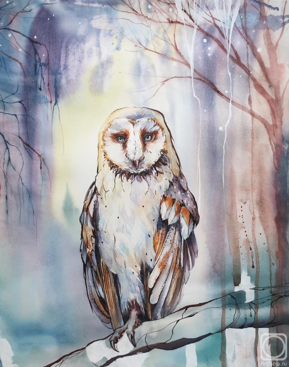 Vlaskina Alla. The owl