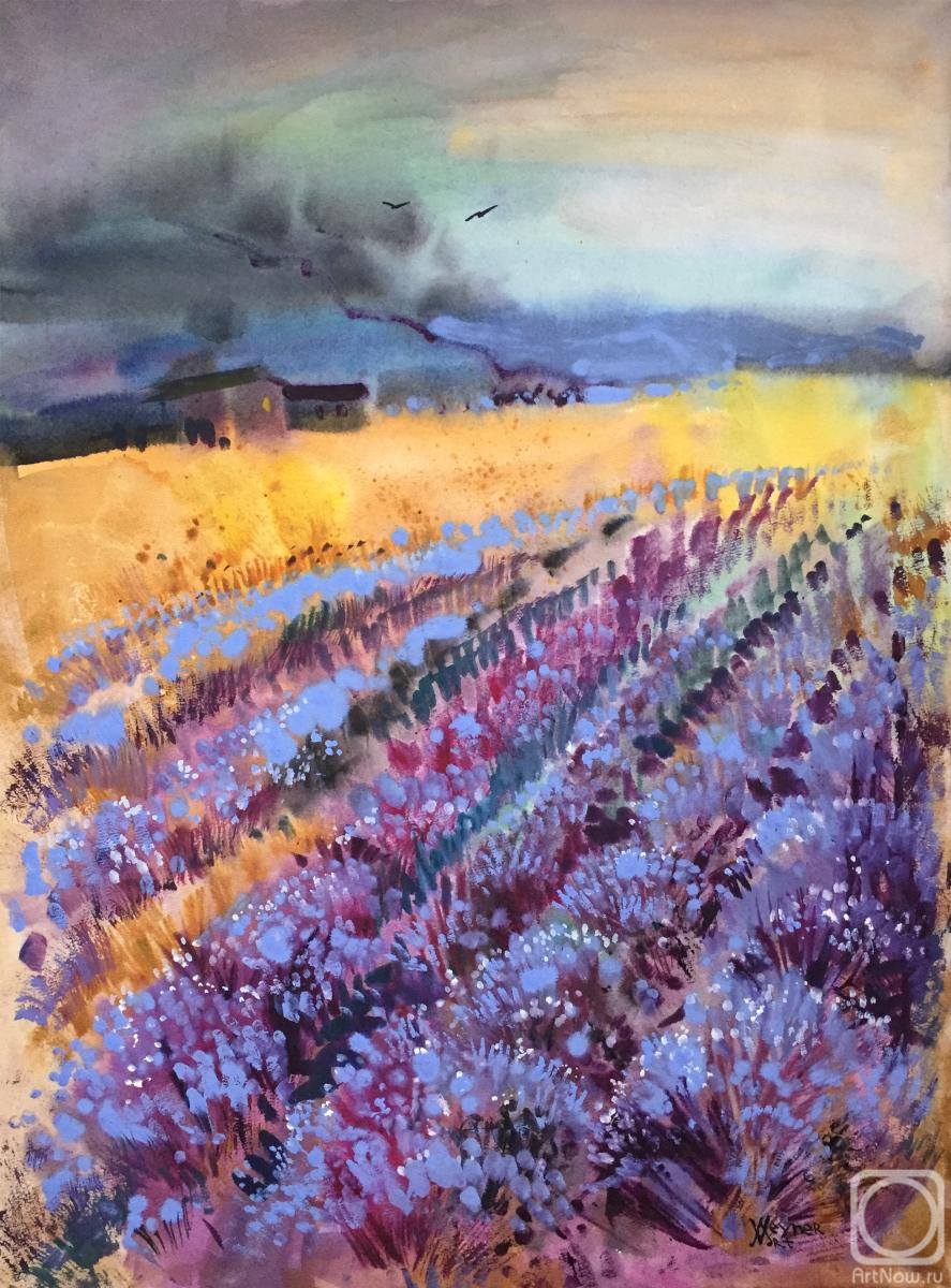 Veyner Nataliya. Lavender field