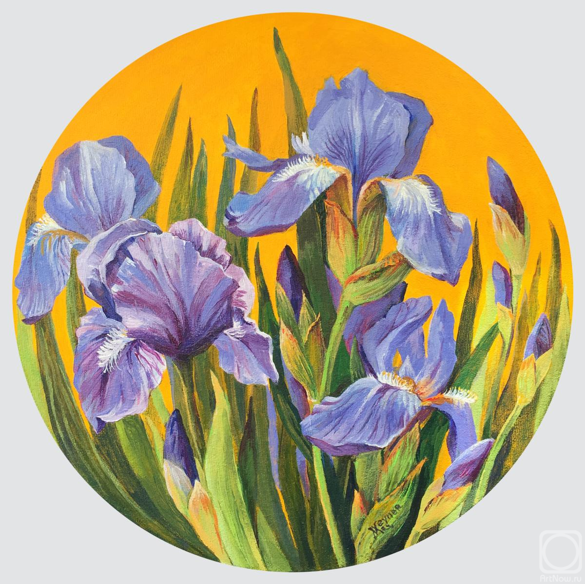 Veyner Nataliya. Irises