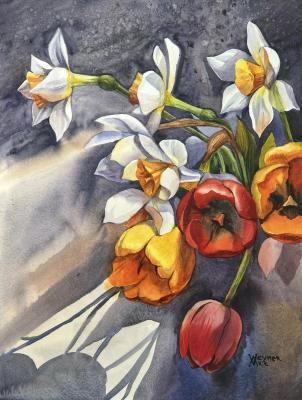 Tulips and daffodils (Red And White Flowers). Veyner Nataliya
