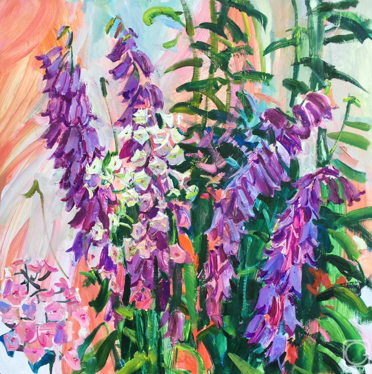 �������. �������� ���������. ����� � ����