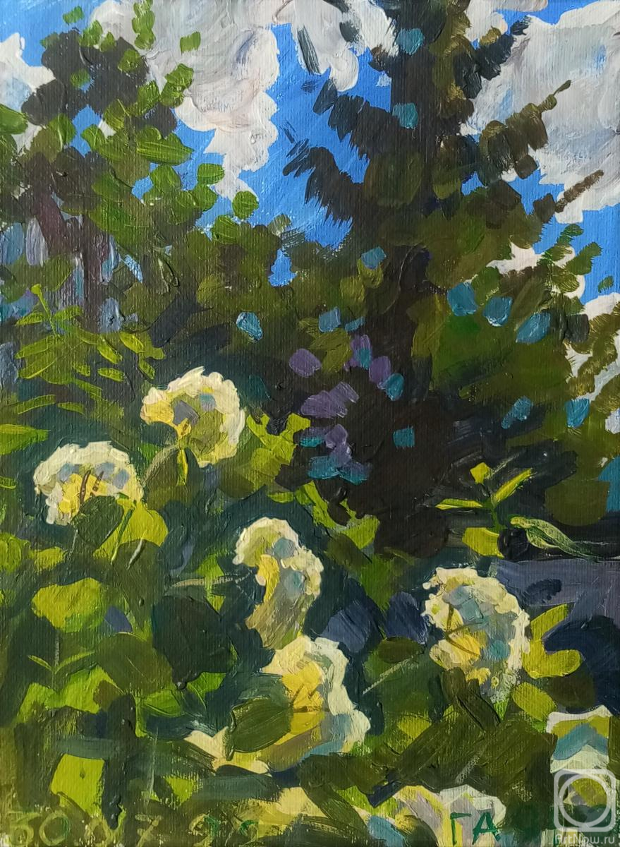 �������. ������������� �����. ���� ��������� � ����