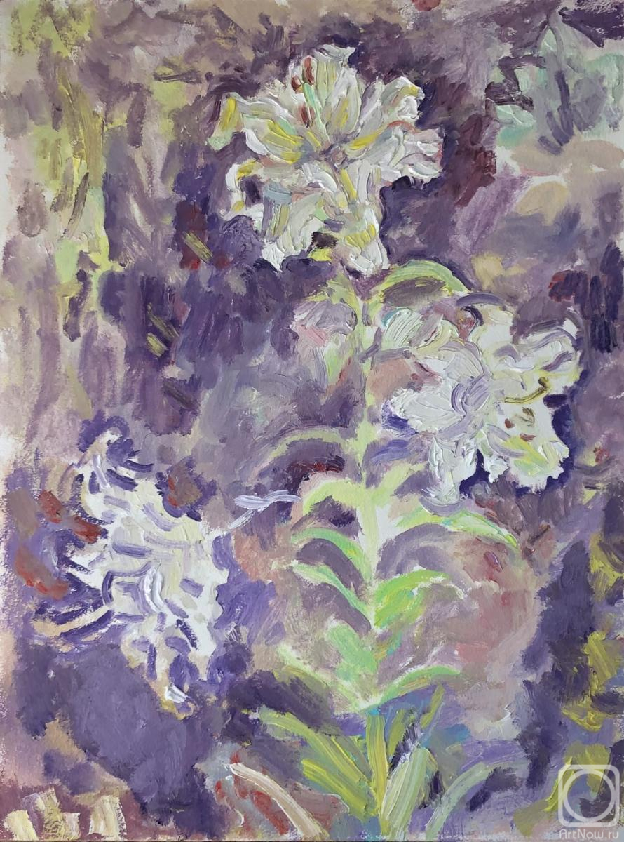 Sechko Xenia. Untitled