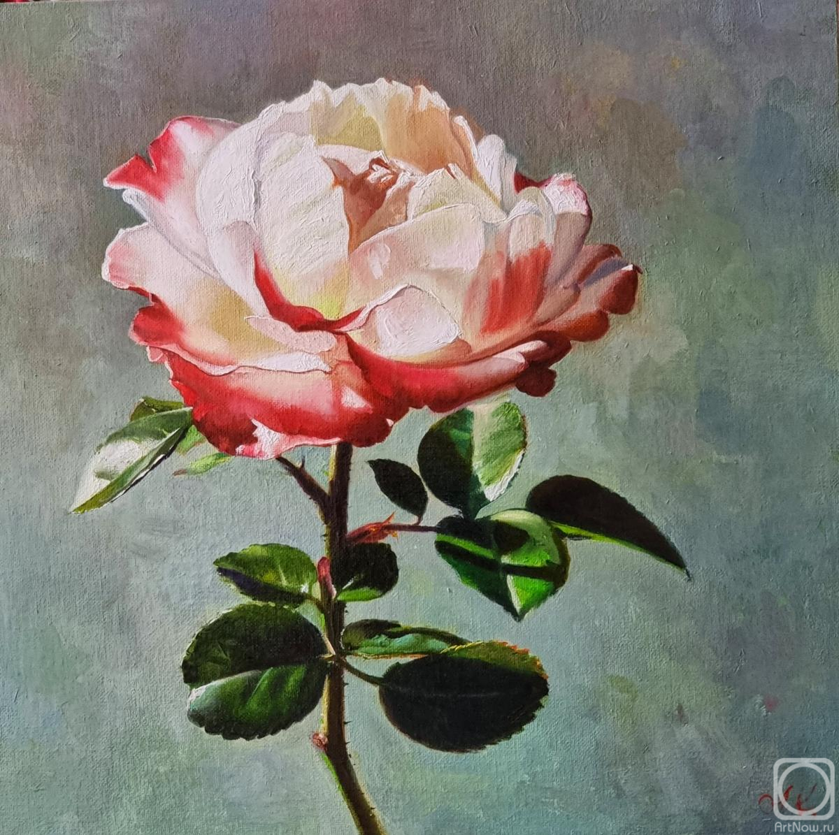 ������� ������ �� ������. ��������� ����. ���������� �������