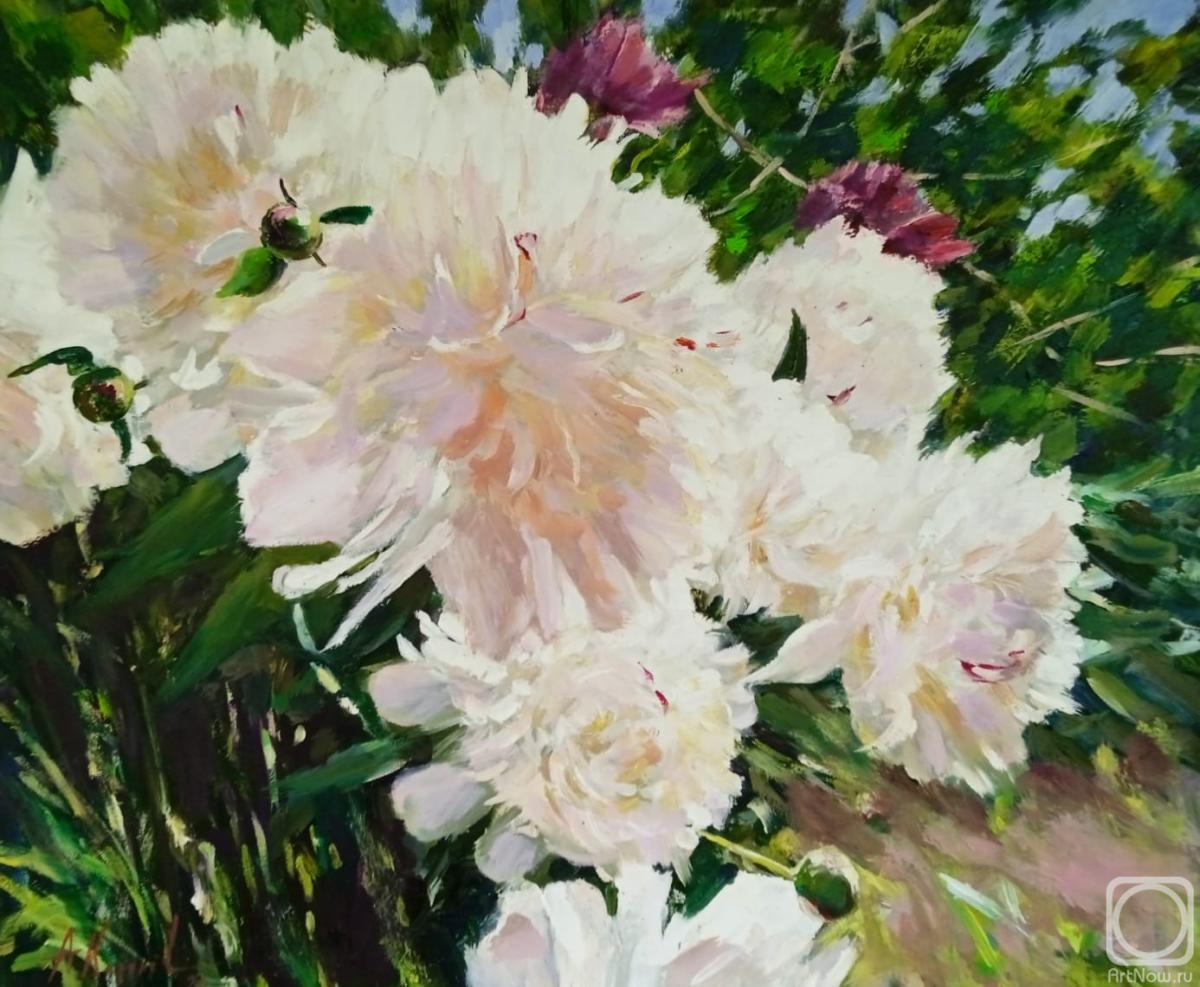 ������� ������ �� ������. ������� ������. �����