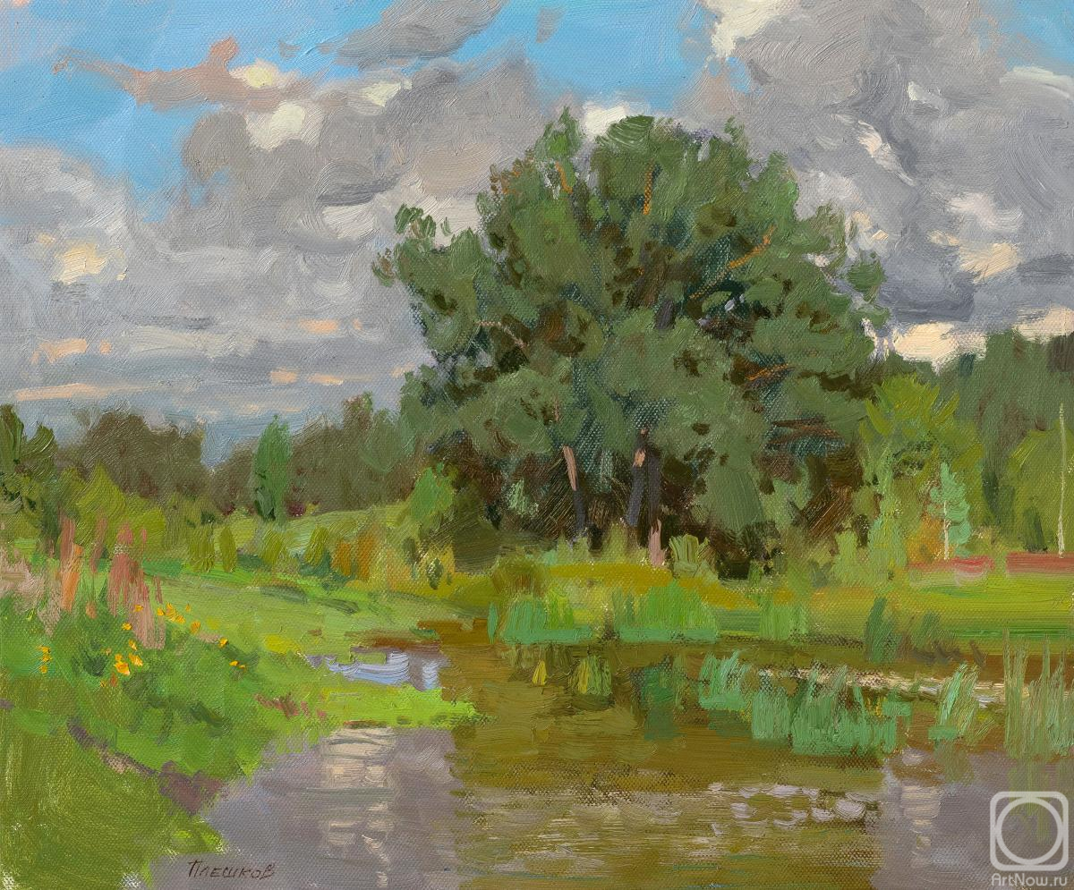 ������� ������ �� ������. ������� �������. ����� ���������