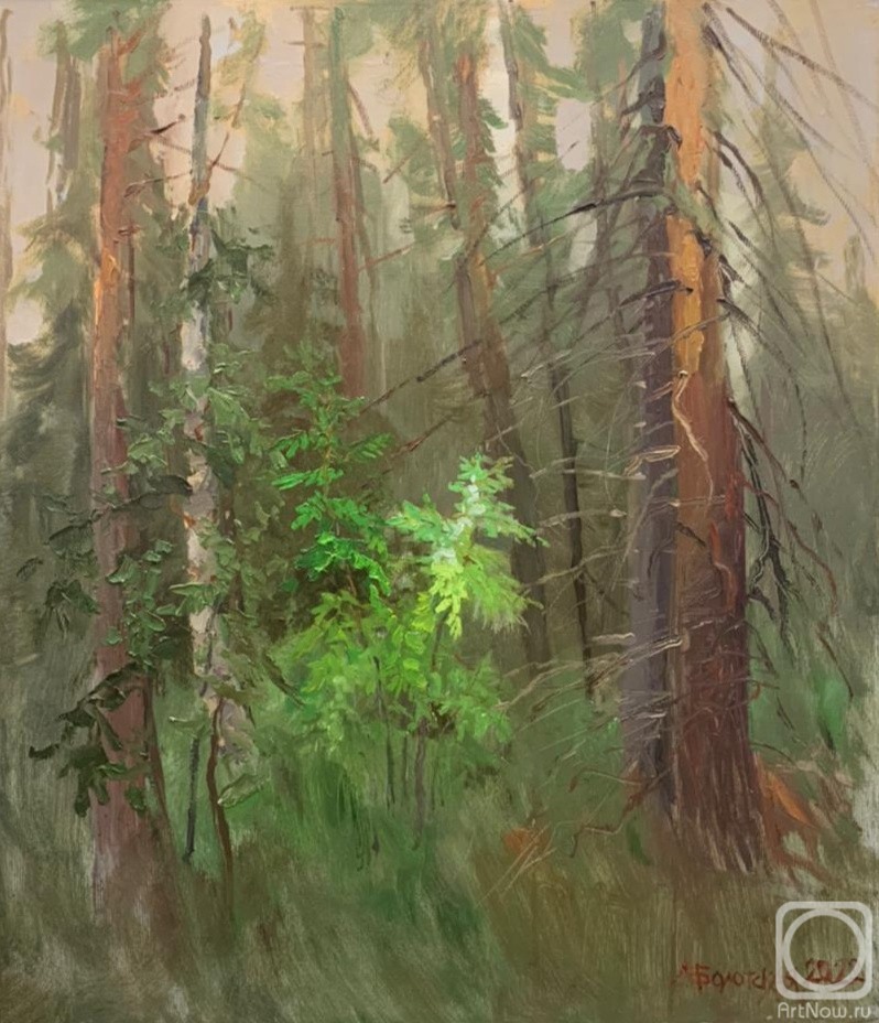 ������� ������ �� ������. ��������� �������. ������� � ����