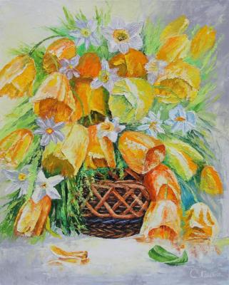 Yellow tulips. Gaponov Sergey