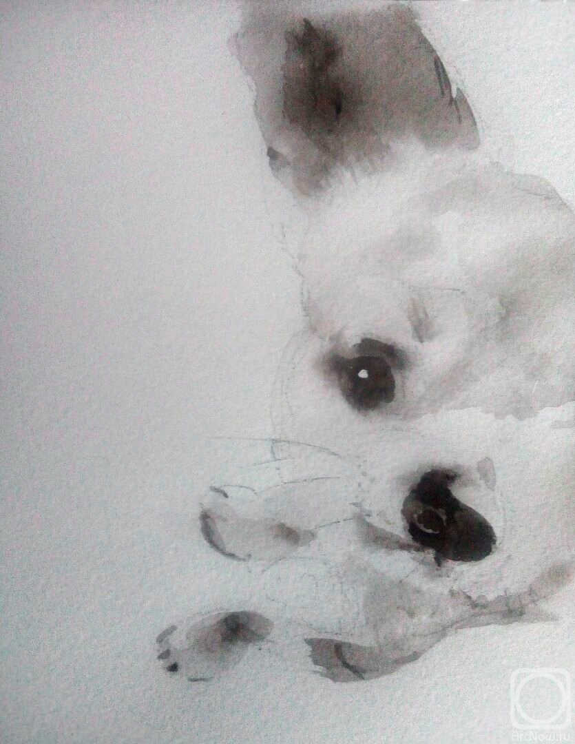 �������. ������� ����. ϸ� �� ������ ����