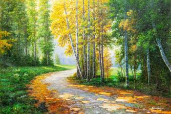 Path in a birch grove. Kamskij Savelij