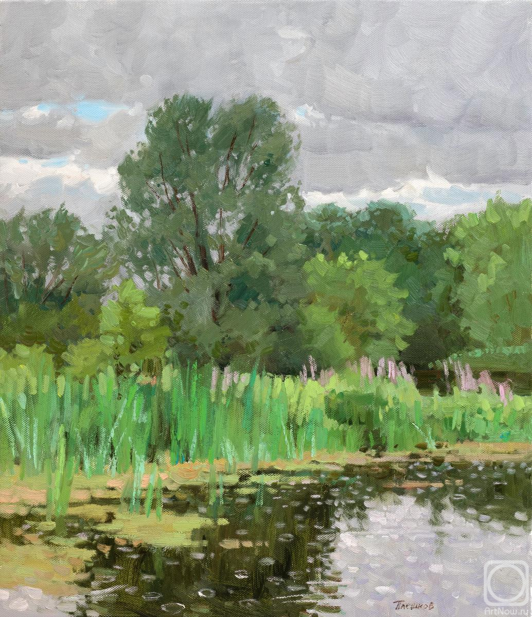 ������� ������ �� ������. ������� �������. ������