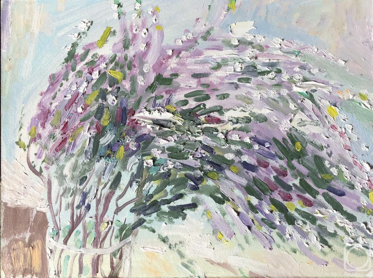 Sechko Xenia. Untitled