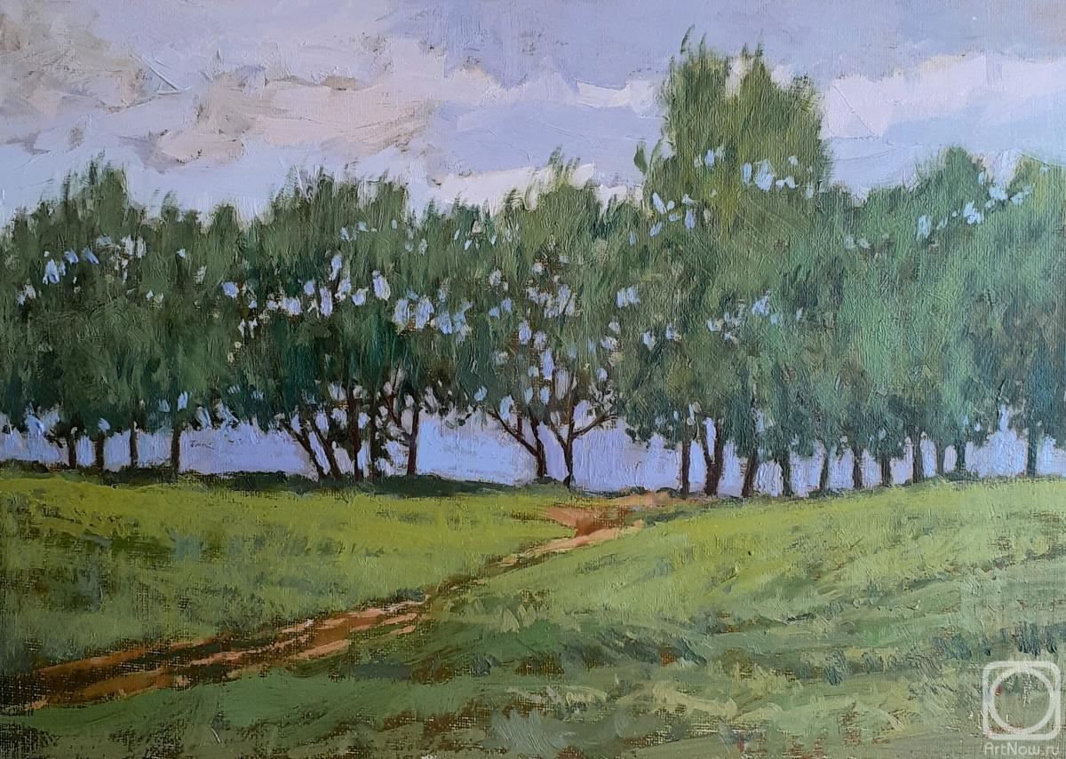 Toporkov Anatoliy. The trees near the water