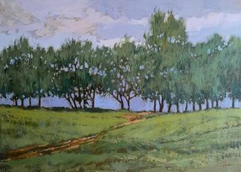 The trees near the water. Toporkov Anatoliy
