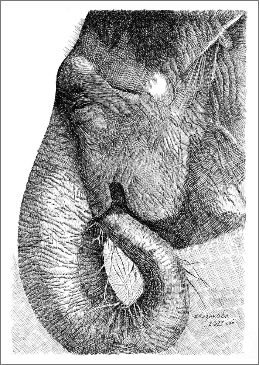 �������. �������� �������. ����. ������ �������