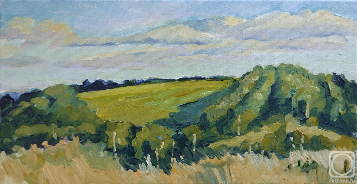 Nikonova Olga. Landscape with fields