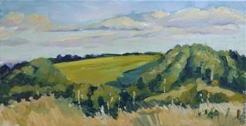 Landscape with fields. Nikonova Olga