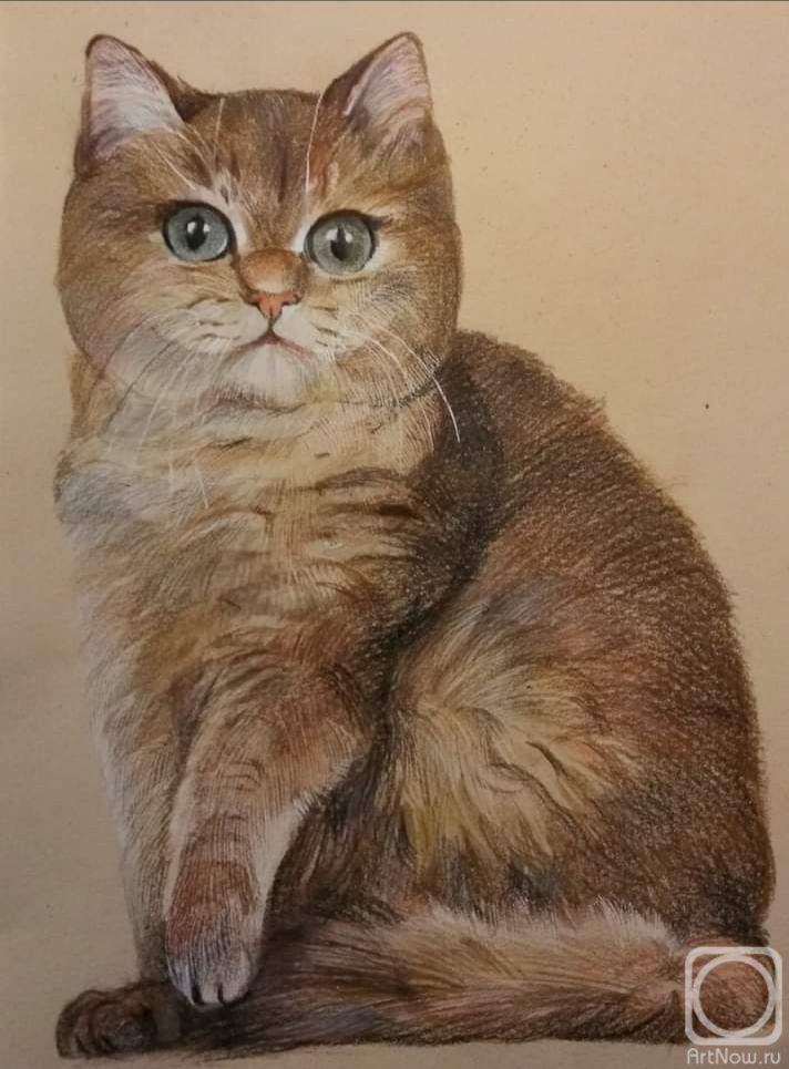 Novikova Mariya. Portrait of a cat