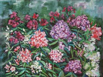 ������� ����� � ��������