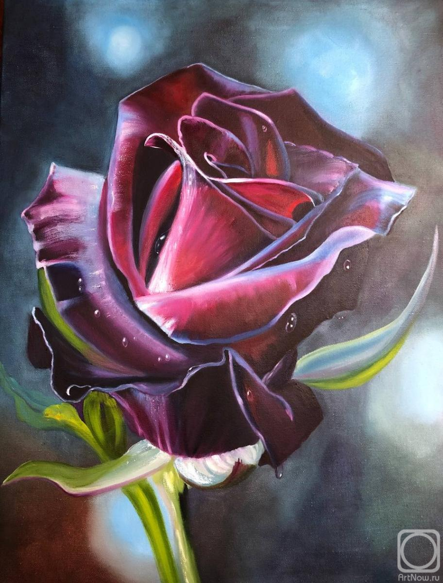 ������� ������ �� ������. ���������� �������. ����-�����